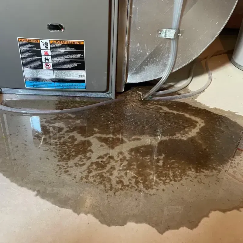 Appliance Leak Cleanup in Haviland, NY